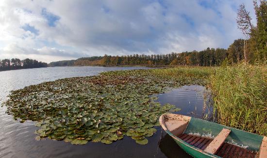 Herbst in der Uckermark à Patrick Pleul