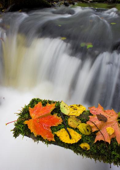 Herbstfeature in Märkisch-Oderland à Patrick Pleul