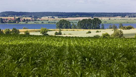 Landschaft der Uckermark in Brandenburg à Patrick Pleul