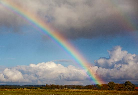 Regenbogen über Herbstlandschaft à Patrick Pleul
