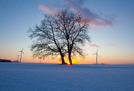 Sonnenuntergang in Brandenburg à Patrick Pleul