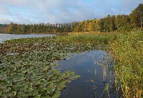 Herbst in der Uckermark