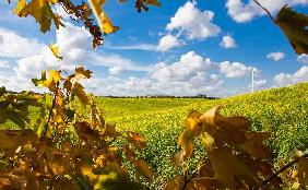 Herbstlandschaft in Brandenburg