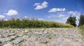 Landschaft der Uckermark in Brandenburg