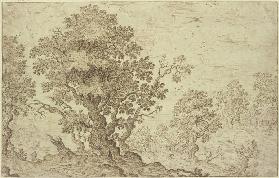 Landscape with trees