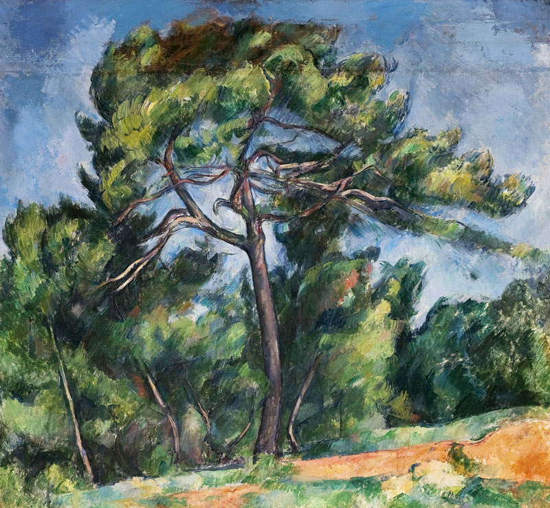 Le grand pin à Paul Cézanne