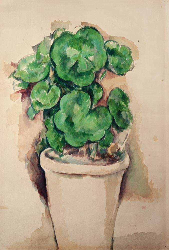Pot of Geraniums à Paul Cézanne