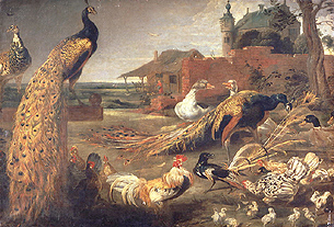 Eine Krähe in Pfauenfedern. à Paul de Vos