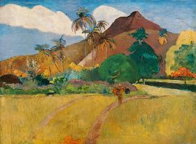 Paysage tahitien