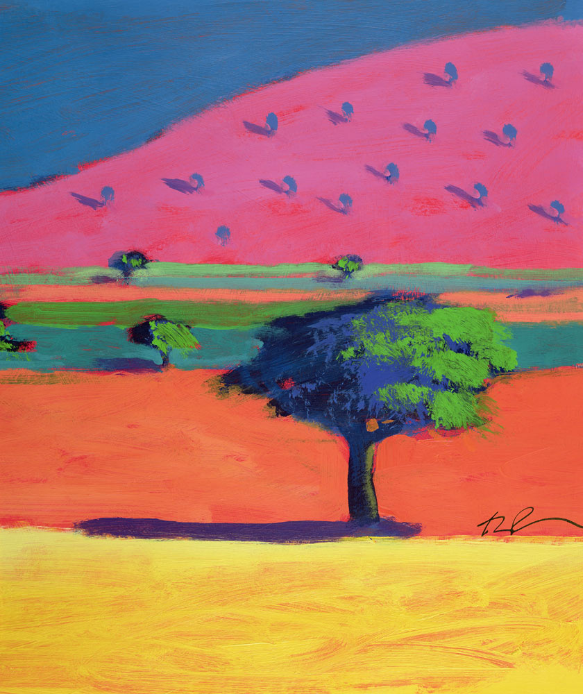 Pink Hill (acrylic on card)  à Paul Powis