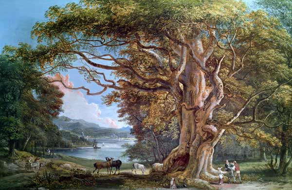 An Ancient Beech Tree à Paul Sandby