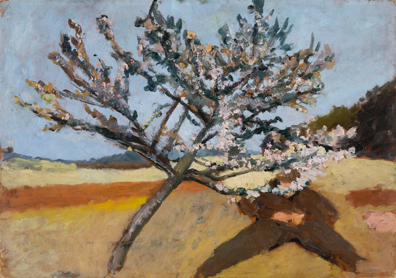 Man lying beneath a Blossoming Tree à Paula Modersohn-Becker