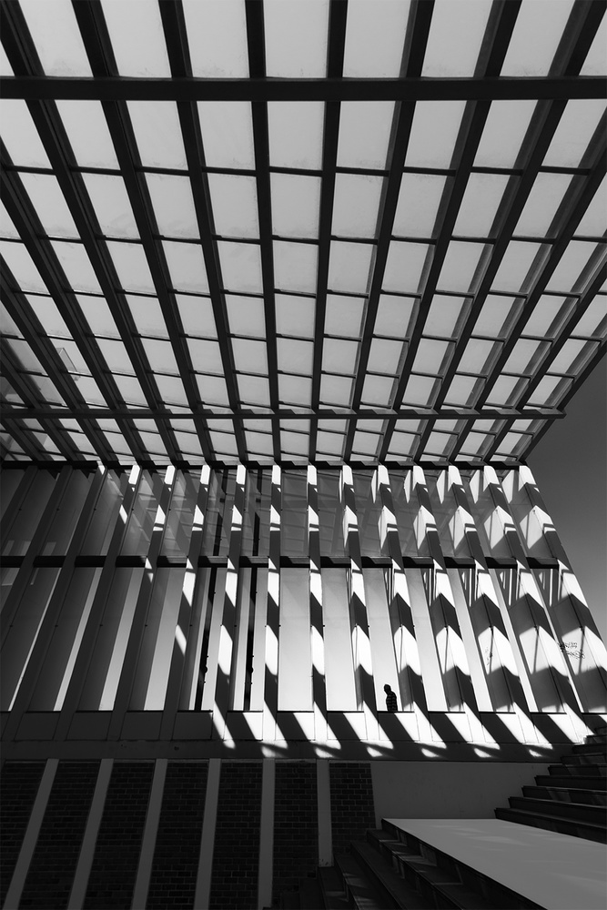 The Disappearance à Paulo Abrantes