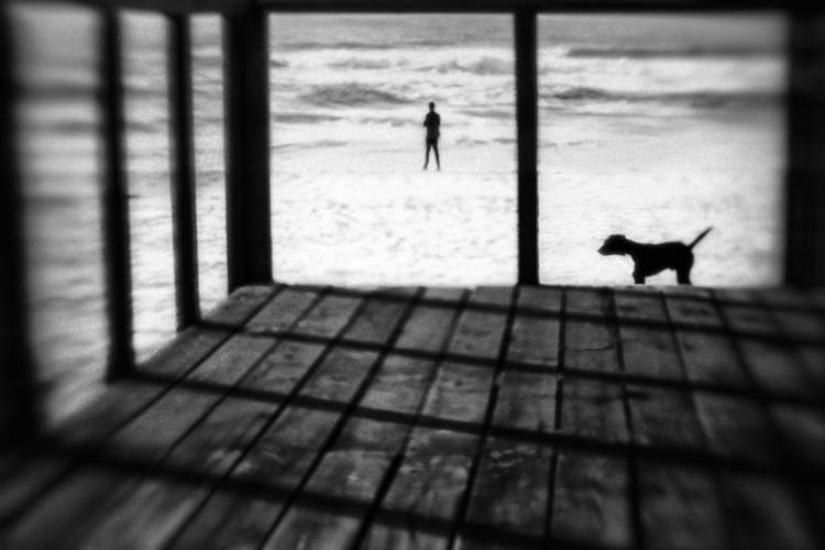 Left Behind à Paulo Abrantes