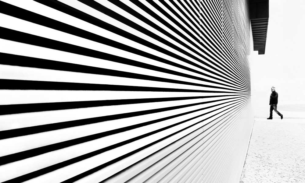 Thingy Wingy à Paulo Abrantes