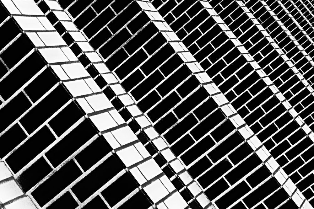 Over the Garden Wall à Paulo Abrantes