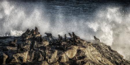 morning shower on diaz point