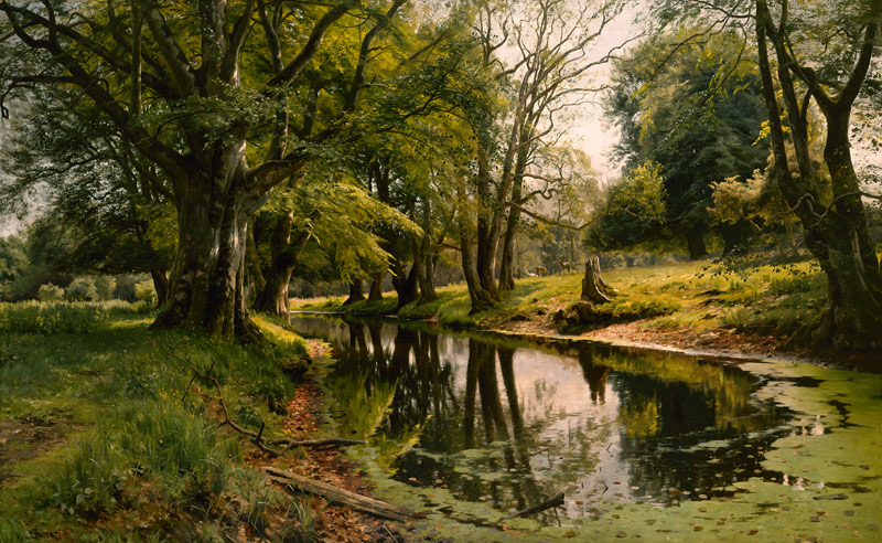 Still Water in the Forest à Peder Mønsted