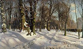 forêt enneigée d'hiver au soleil.