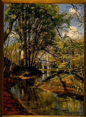 Forest Stream 1894