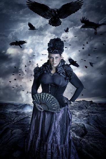 The ravens widow