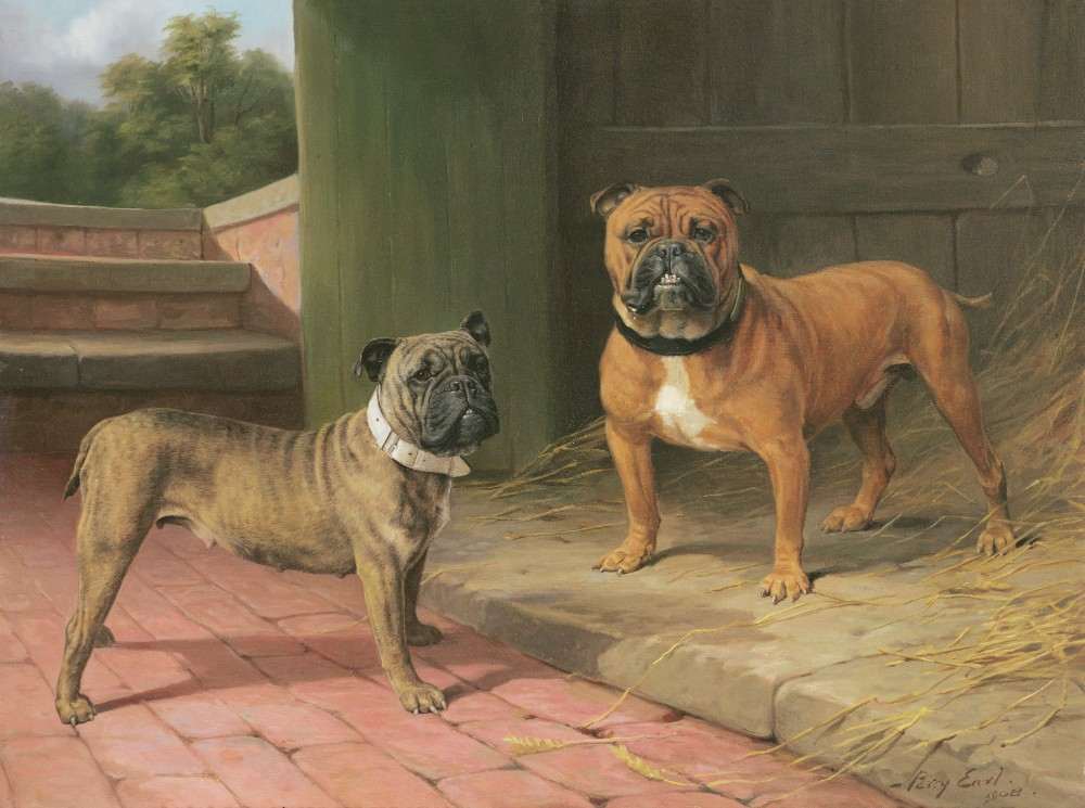 A Red Bulldog and Brindle Bulldog by a Barn à Percy Thomas Earl