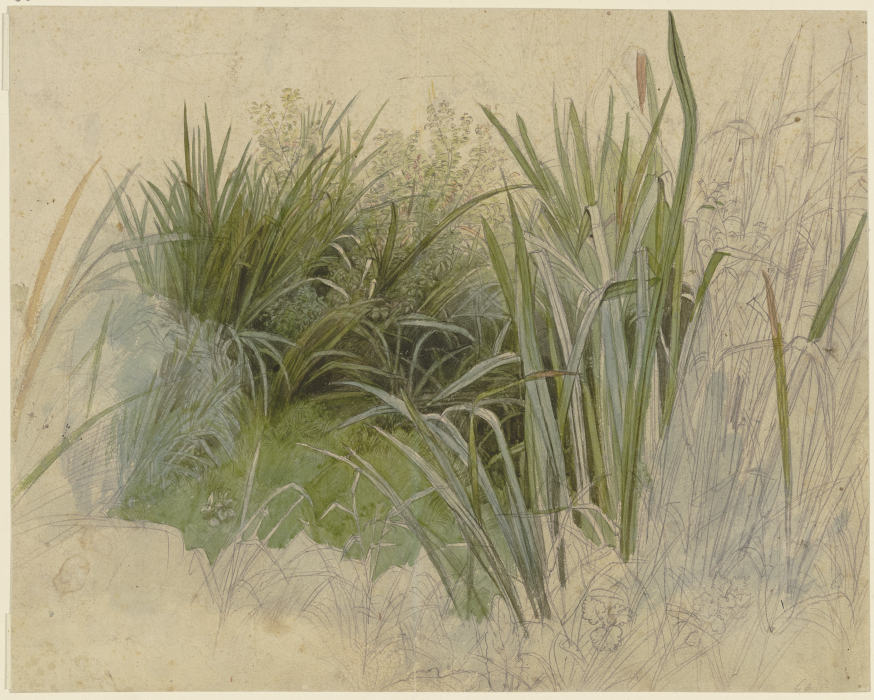 Group of reeds à Peter Becker