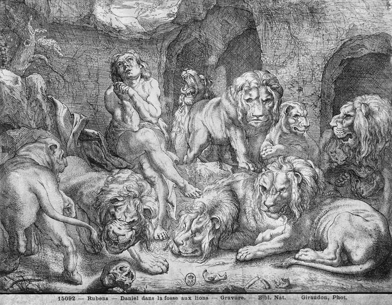 Daniel in the lions'' den à Peter Paul Rubens