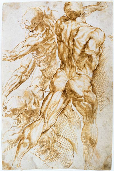 Anatomische Studie: Kämpfende Akte. à Peter Paul Rubens