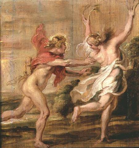 Apollo and Daphne à Peter Paul Rubens