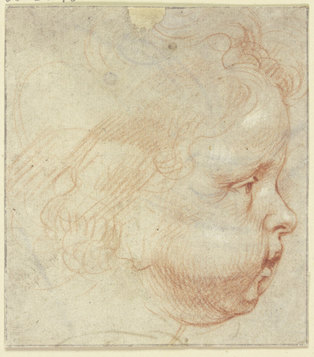 Kinderkopf im Profil nach rechts à Peter Paul Rubens