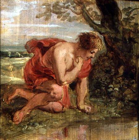 Narcissus à Peter Paul Rubens