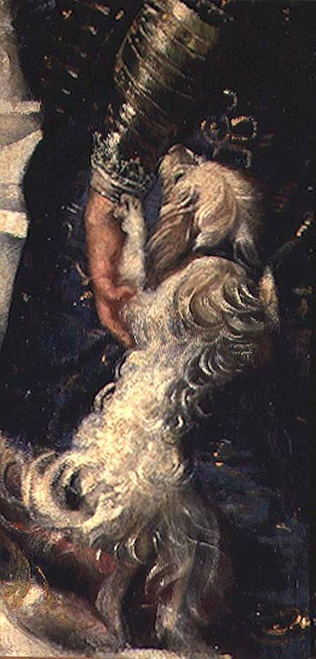 Rampant Puppy à Peter Paul Rubens