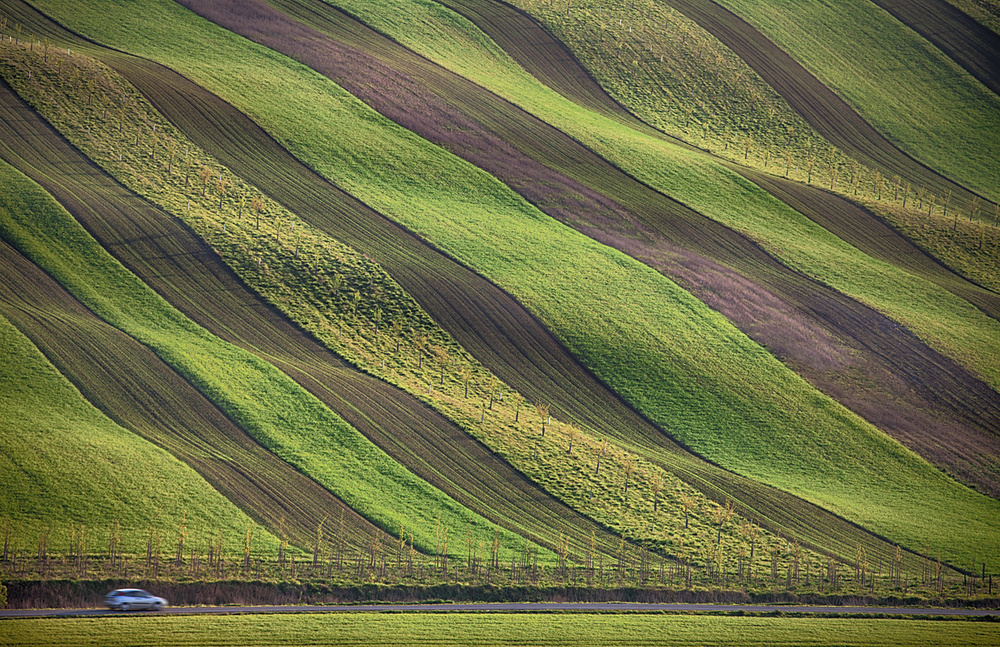 Stripes in the fields à Peter Svoboda MQEP