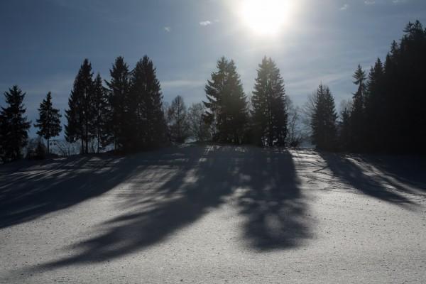 Bäume mit Schatten in Winterlandschaft à Peter Wienerroither