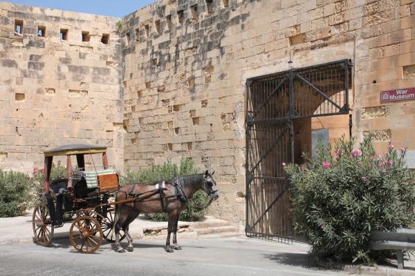 Pferdekutsche in Valetta, Malta à Peter Wienerroither