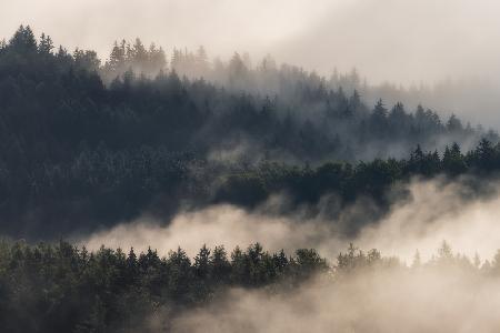 Mountain morning