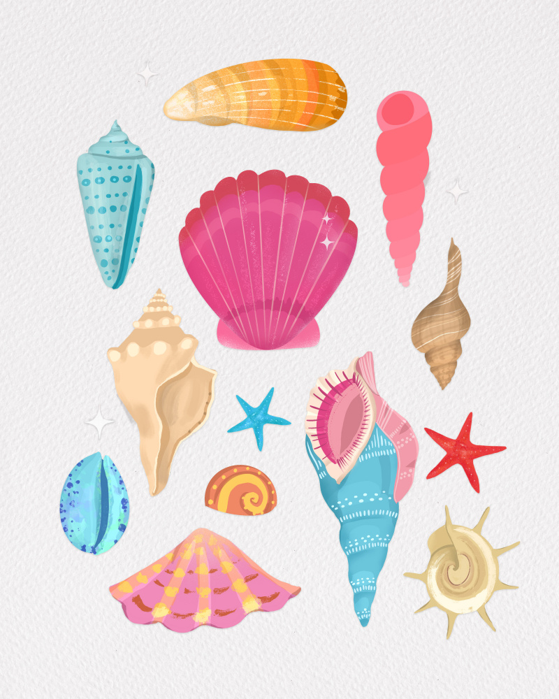 Seashells à Petra Lizde