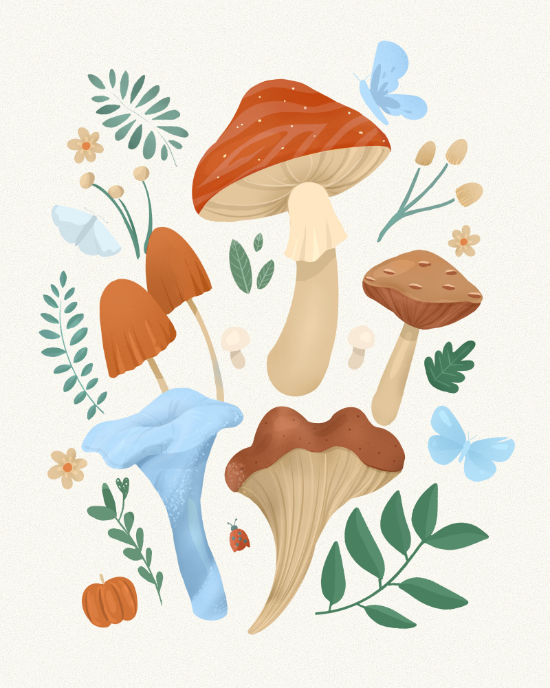 Fungi à Petra Lizde