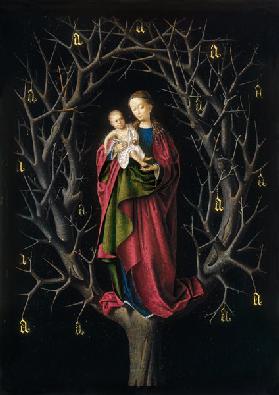 The Virgin of the dry Tree