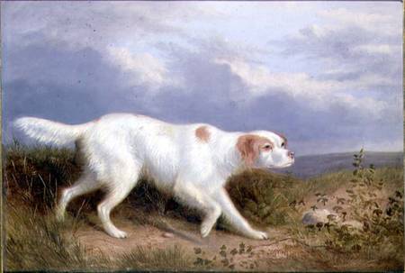 A Setter on the Moor à Philip Reinagle