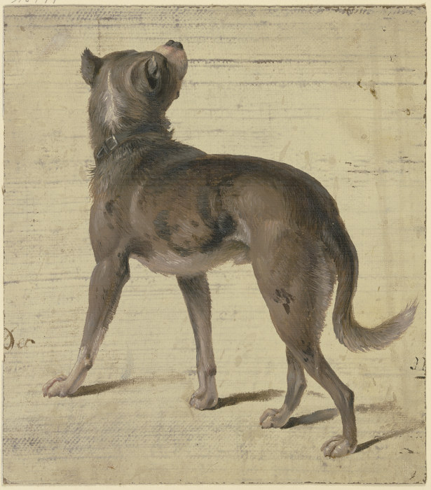 Dog à Philipp Rumpf