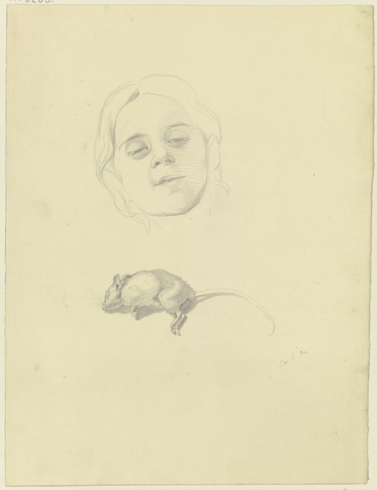 Bildnis eines Mädchens, darunter eine tote Maus à Philipp Winterwerb
