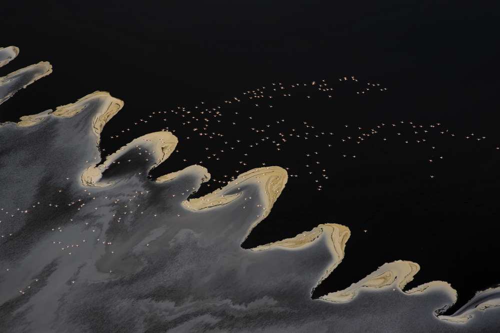 Flying Over the Lake à Phillip Chang