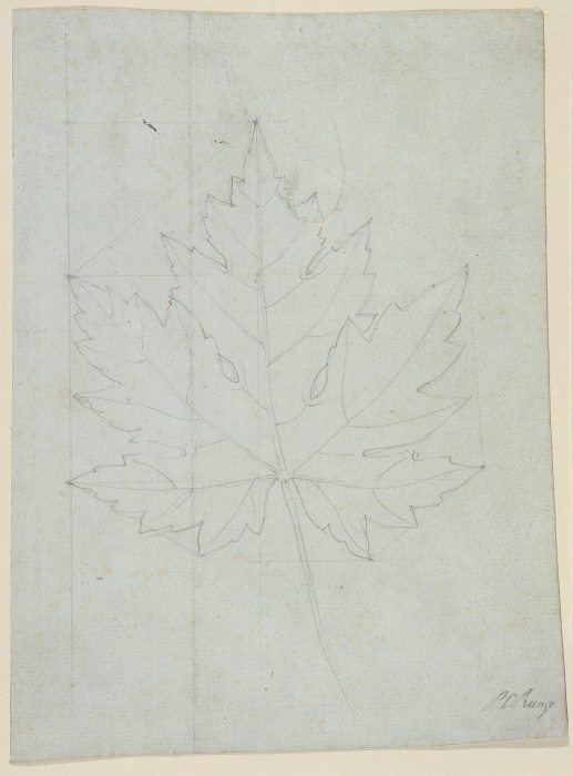 Maple leaf à Phillip Otto Runge