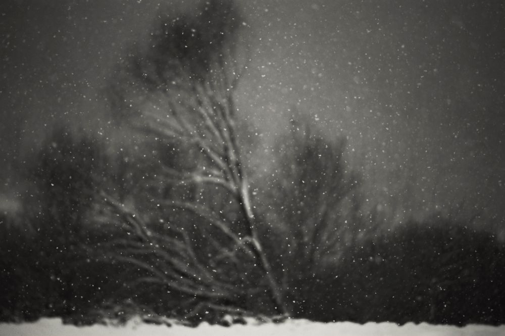 Winter à PhotoCosma