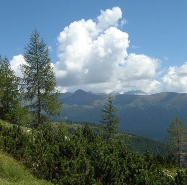 Paysage de montagne en été à Padola 2007 à Andrea Piccinini