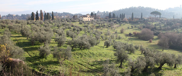 Paysage colinéaire proche de Florence 2013 à Andrea Piccinini