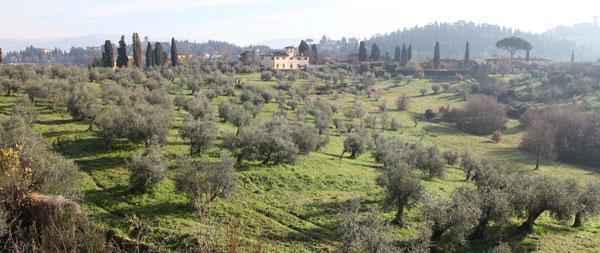 Paysage colinéaire proche de Florence 2013
