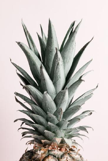 Pineapple Natural Tint